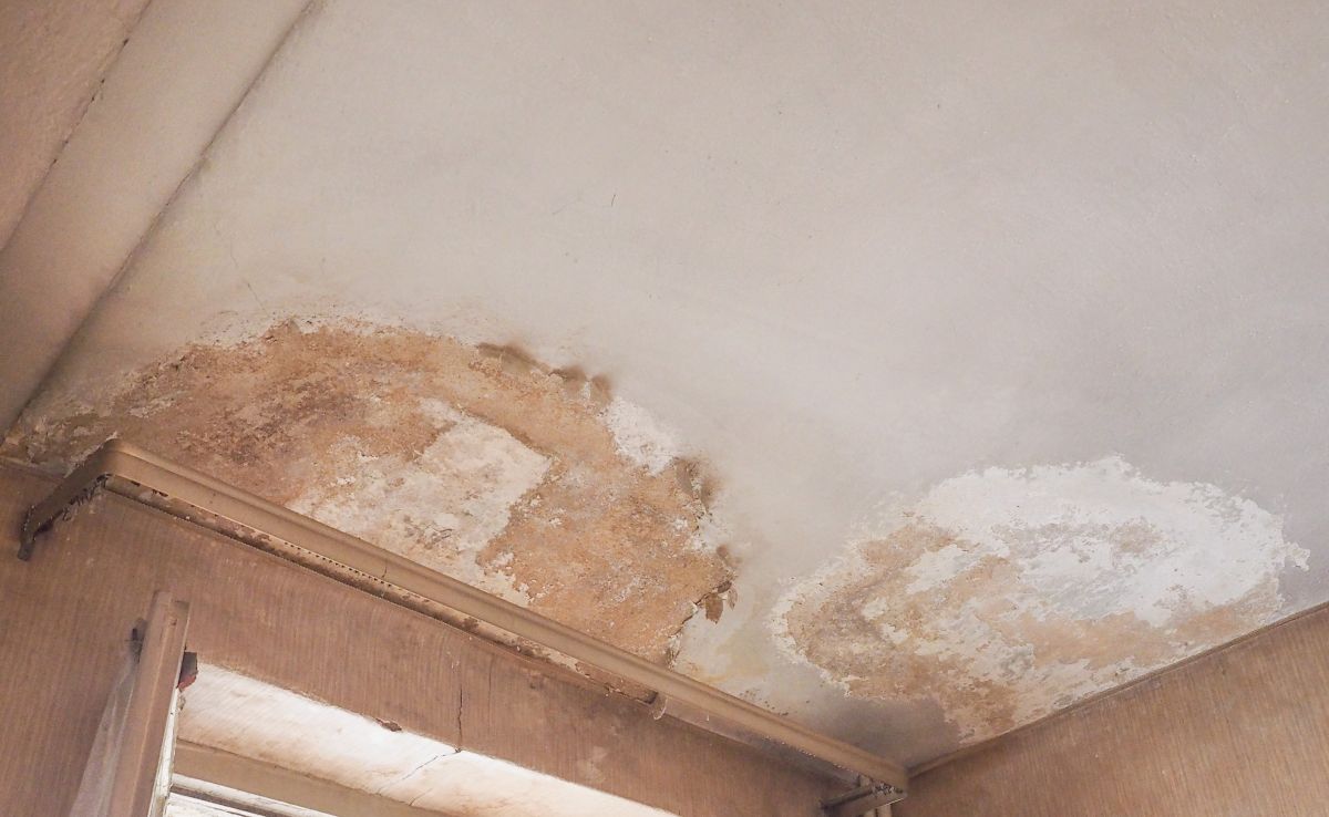 Water Damage,